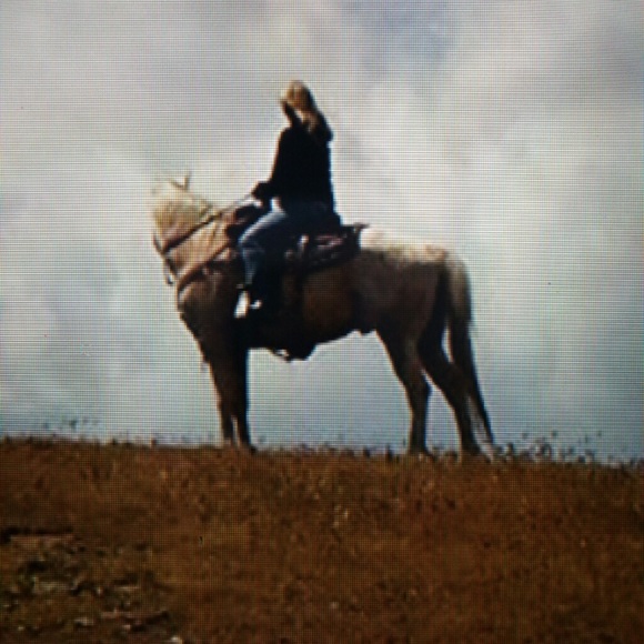 Meet your Posher, Jana - Picture 1 of 5